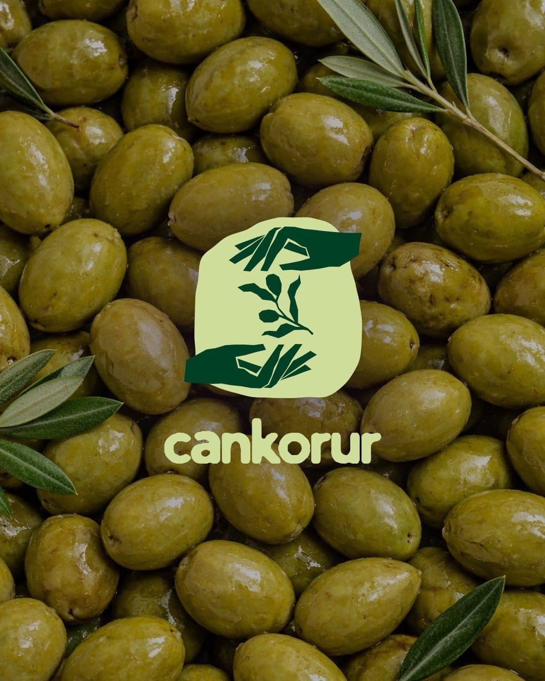 Cankorur Zeytinyağı — proje görseli 4